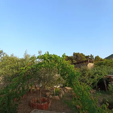 Oleandro איגלסיאס