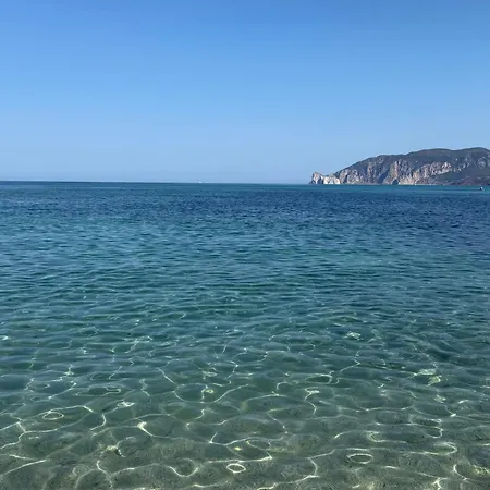 Oleandro